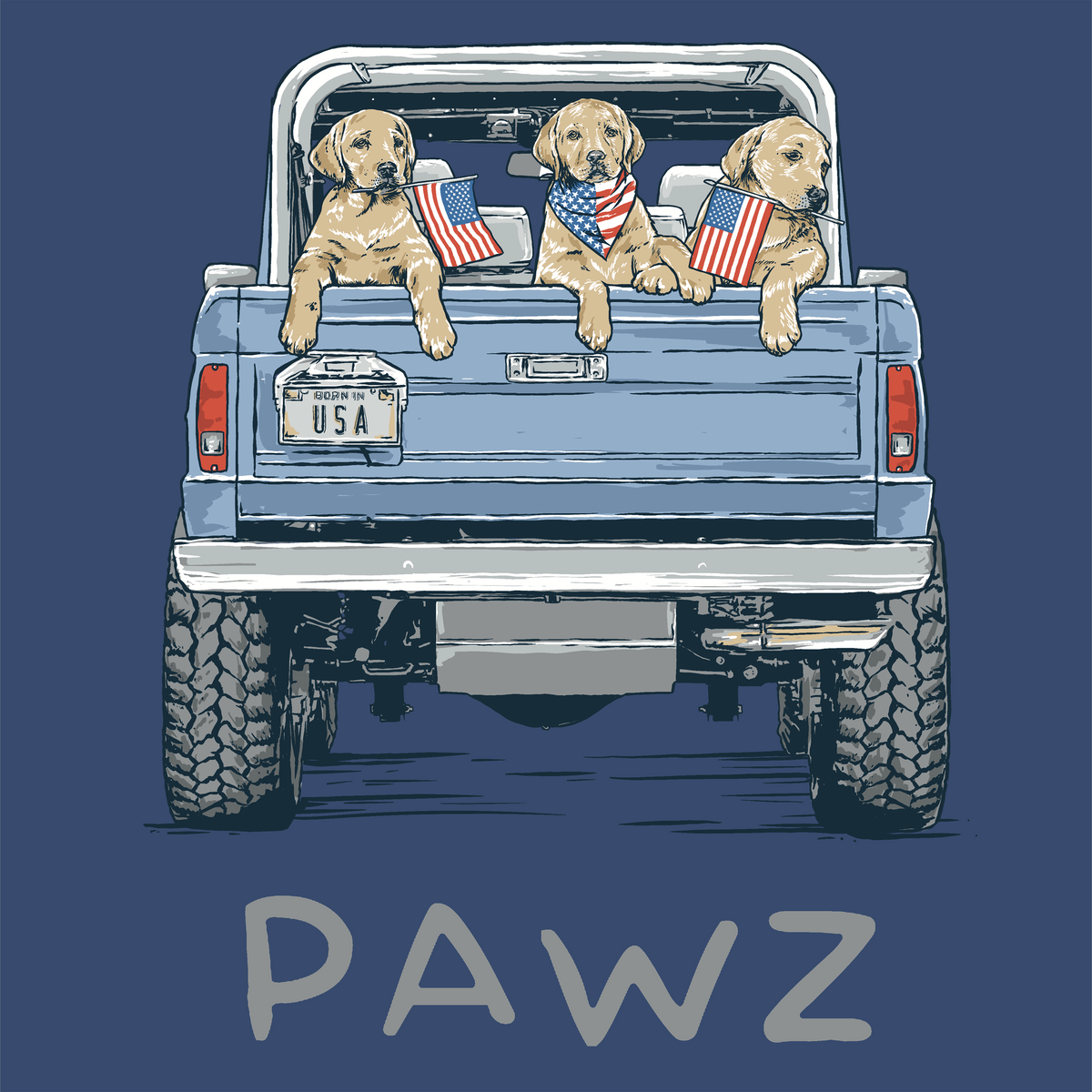 USA Cruiser (Adult Hoodie) Super Sale